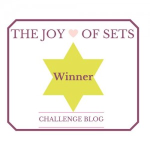 Joy of Sets Winner