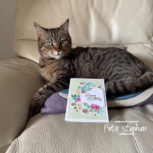 #ctc534 #stampin_cat #extraordinaryflora #extraordinaryflorawashitape #floweraccents #stampinup