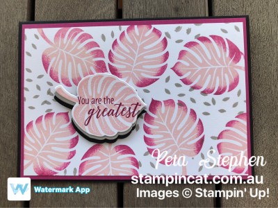 Stampin' Cat CI38 Tropical Chic Stampin' Up!