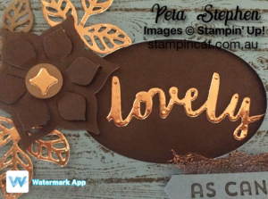 Stampin' Cat Lovely Words Flourish Thinlits Stampin' Up!