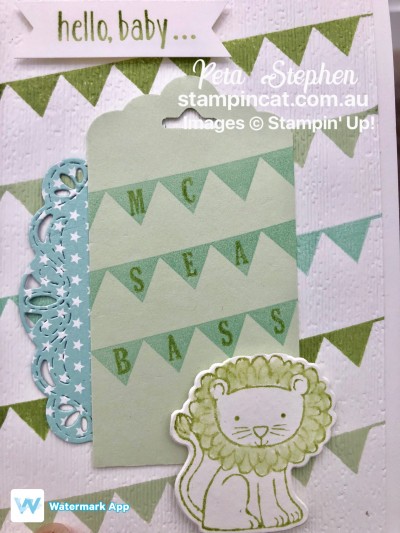 Stampin' Cat CI39 Pick a Pennant A Little Wild Stampin' Up!