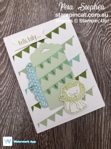 Stampin' Cat CI39 Pick a Pennant A Little Wild Stampin' Up!
