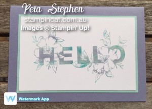 Stampin' Cat Floral Statements