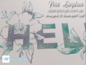 Stampin' Cat Floral Statements