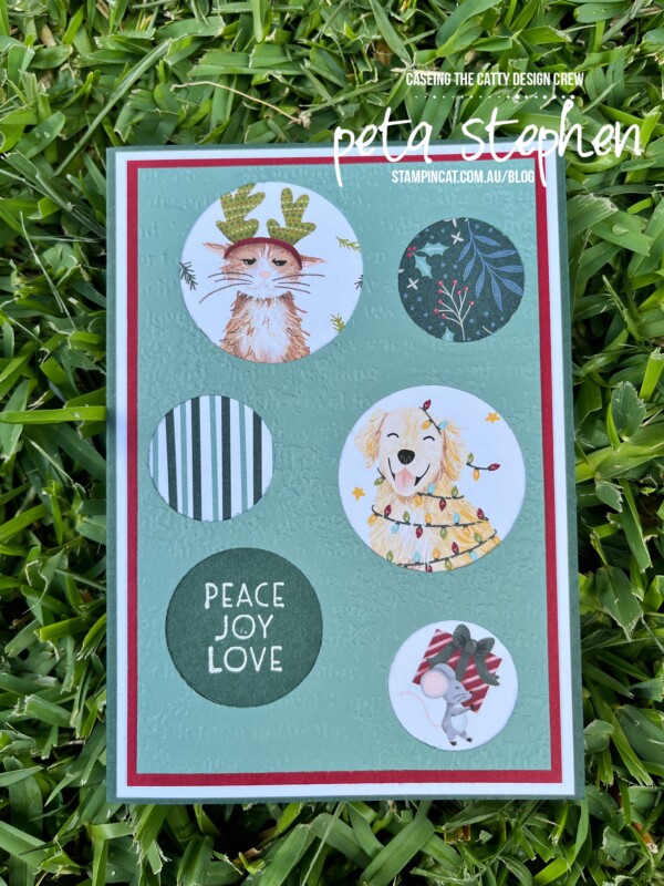 #ctc343 #stampin_cat #tidingsofchristmas #sweetstocking #stampinup