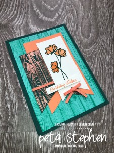 Stampin' Cat CTC193 Hardwood Love What You Do Stampin' Up!