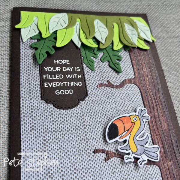 #ctc452 #stampin_cat #junglepals #thoughtfulexpressionsdies #toucan #stampinup