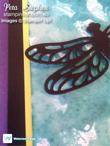 Stampin' cat CI15 Detailed Dragonfly