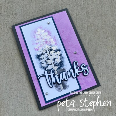 #ctc356 #stampin_cat #amazingsilhouettes #babywipetechnique #winkofstella #stampinup