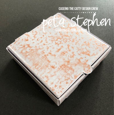 Stampin' Cat CTC 207 Shimmer Paint Pizza Box Stampin' Up!
