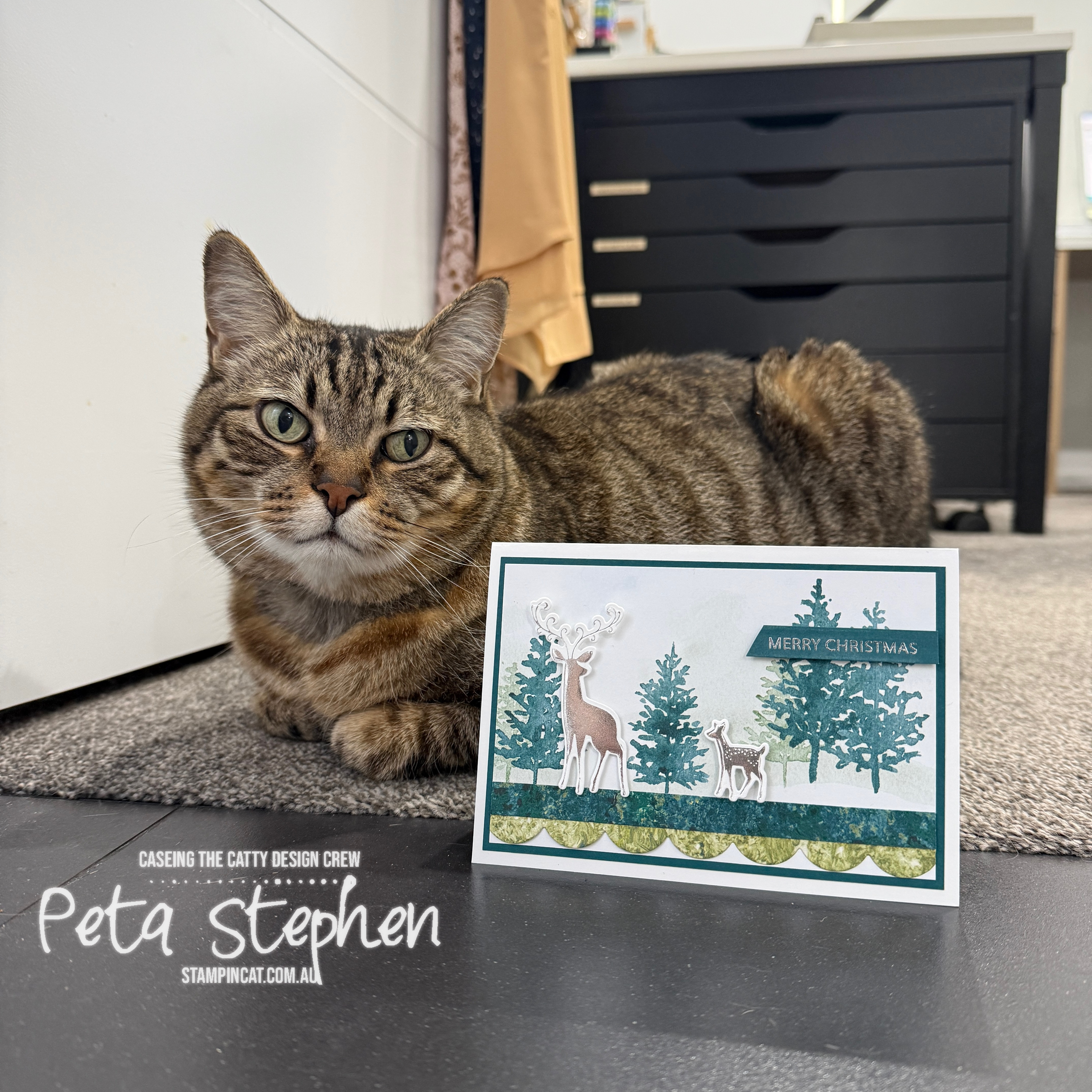 #ctc589 #stampin_cat #naturewalkdsp #whisperingwoodsdsp #gracefulevergreendeerhotfoildies #soireesalutations #stampinup