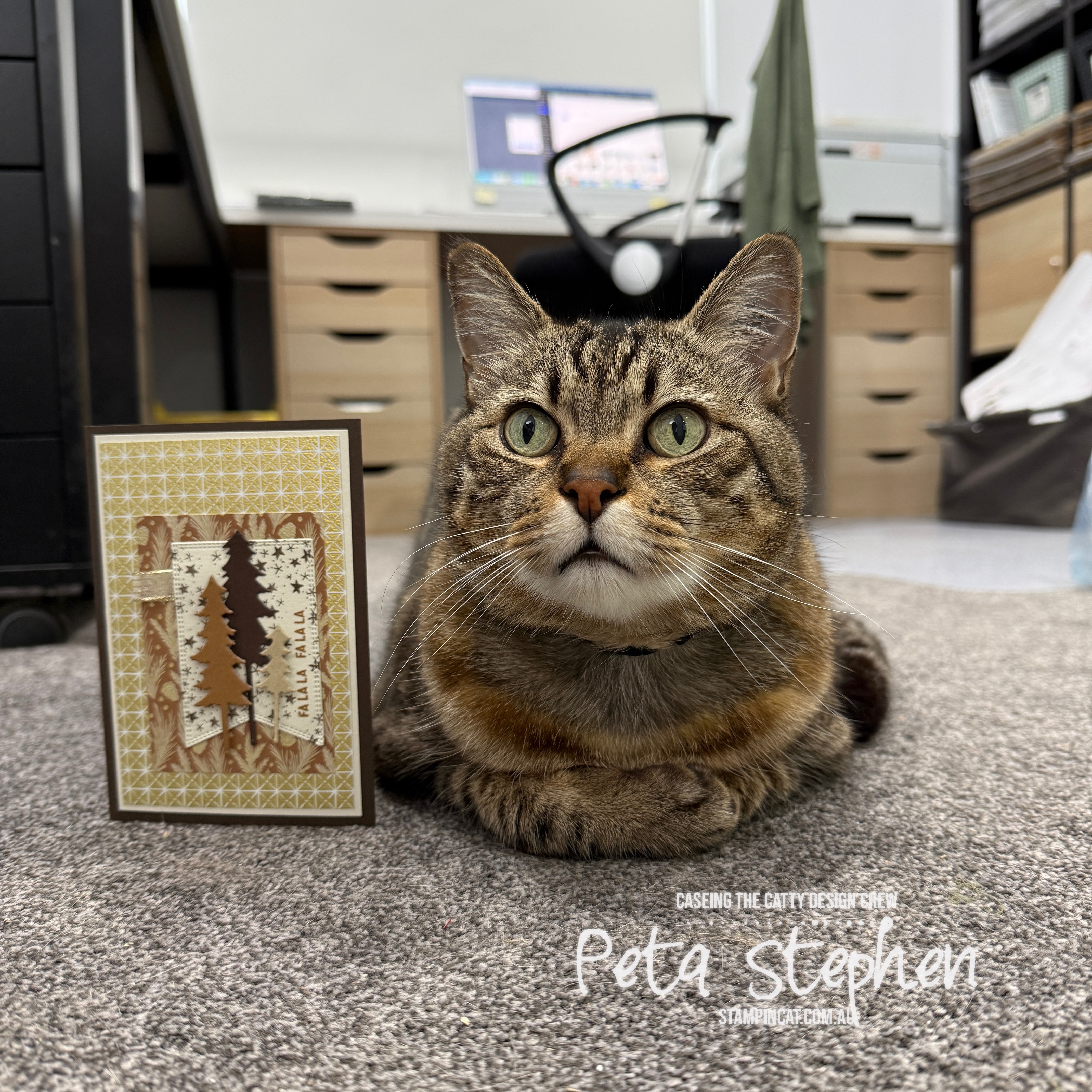 #ctc591 #stampin_cat #naturalnoel #hollyjollybranchesdies #nestedessentaildies #stampinup