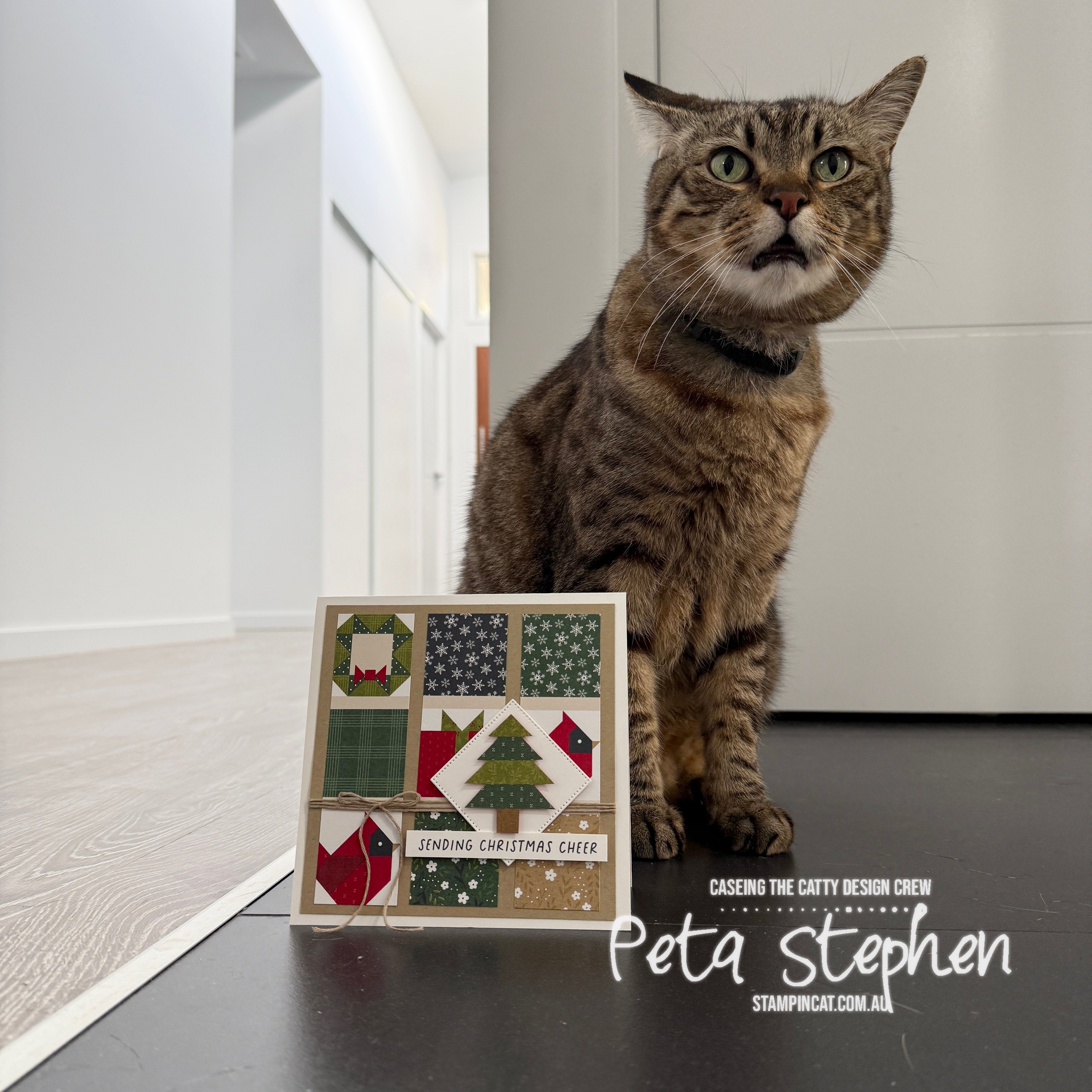 #ctc592 #stampin_cat #astitchedseason #stylishshapes #scallopedchristmascheer #stampinup