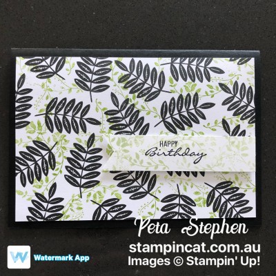 #simplestamping #stampin_cat #tropicalescape #diy #handmadecard #stampinup